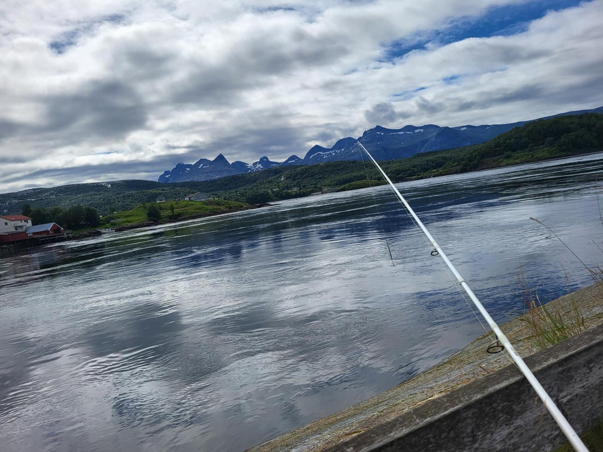 Sokkelleilighet Rett Ved Saltstraumen Bodø Exterior foto